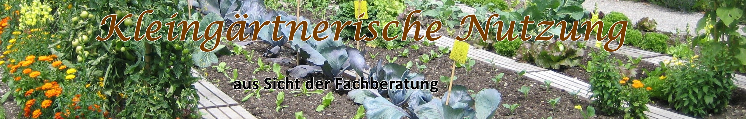 titelbild1