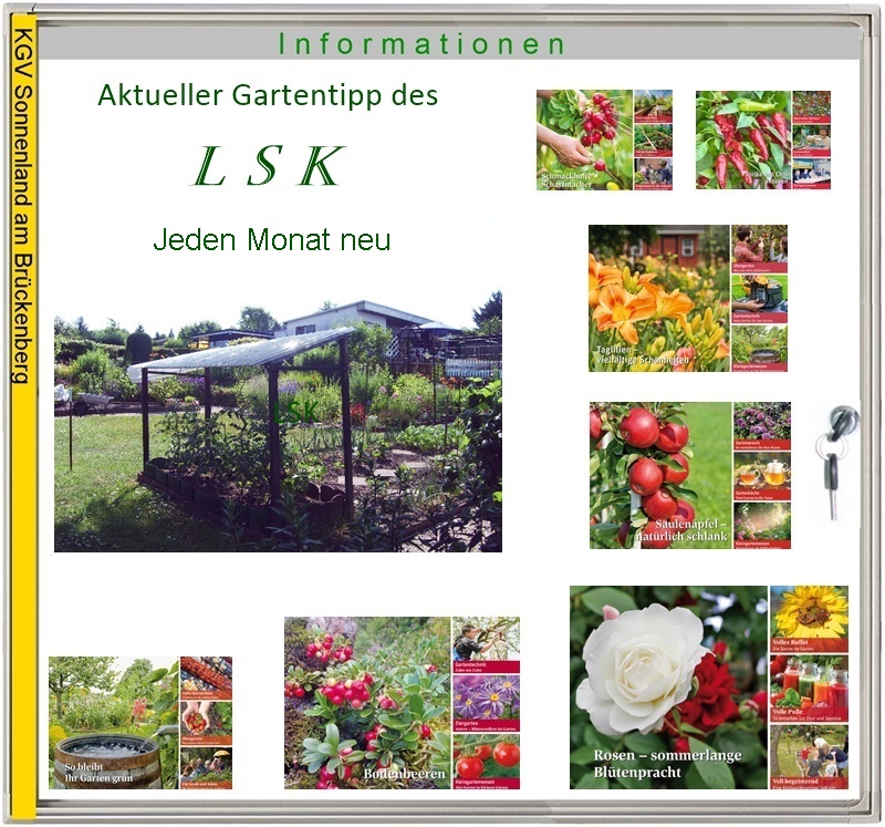 schaukastenallgemein1