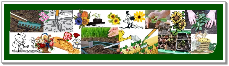 saat und_pflanzkalender700x180